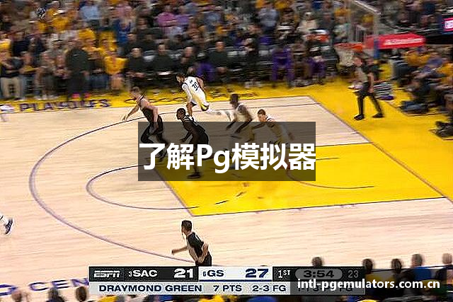了解Pg模拟器
